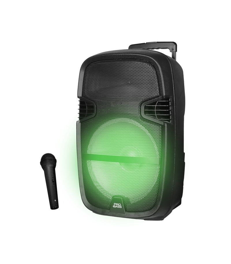 Altavoz inalámbrico  Vieta Pro VM-HW210, 500 W, USB, Micrófono, Micro-SD,  Radio FM, Iluminación LED, Negro