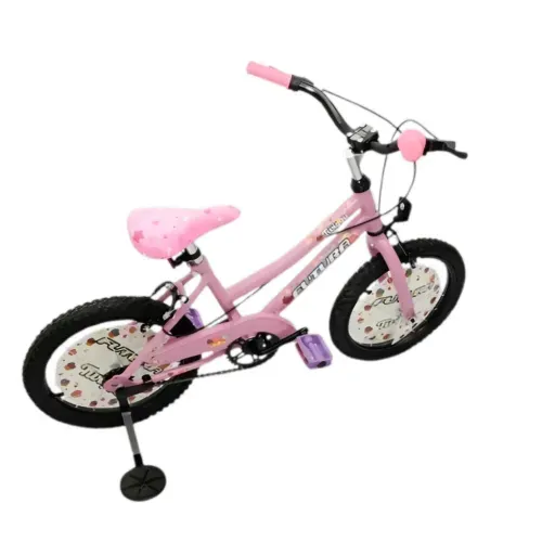 Bicicleta Rodado 16  FUTURA (4047) BMX Twin Niña Oversize con Rueditas-97929