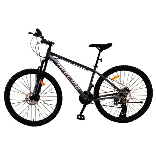 Bicicleta Rodado 29 Gris Aluminio 21 Velocidades Freno a Disco - AVELINO (GHOST)   1000889