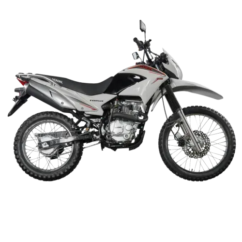 Moto TD 150 GRIS - MONDIAL (TD 150 GRIS)  1003673